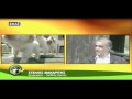 Κοκόνι - Σκύλος Με Ελληνική Καταγωγή
