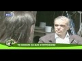 Κοκόνι - Σκύλος Με Ελληνική Καταγωγή