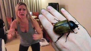 HUGE HISSING BEETLE PRANK