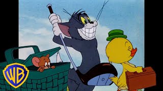 Tom a Jerry - Jaro je ve vzduchu