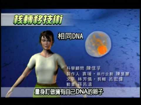 24. 幹細胞的用途 - YouTube pic