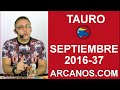 Video Horscopo Semanal TAURO  del 4 al 10 Septiembre 2016 (Semana 2016-37) (Lectura del Tarot)