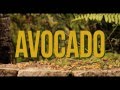 Video clip : Jah9 - Avocado