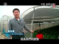 獨立特派員242集{午餐 安嗎}