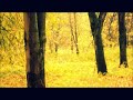 Autumn  - Autumn & Fall ecards - Seasons Greeting Cards