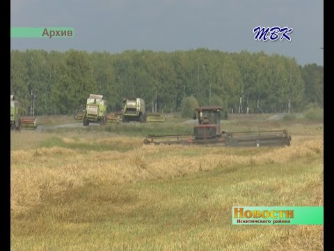 В Искитимском районе завершили уборку зерновых культур