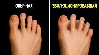 Факты о человеческом теле без очевидного объяснения