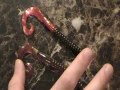 Berkley PowerBait Power Worm: Soft Plastic Classic