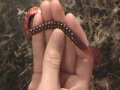 Berkley PowerBait Power Worm: Soft Plastic Classic