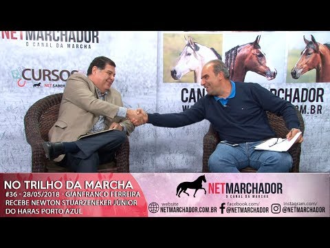 #36 - NO TRILHO DA MARCHA - 28/05/2018 - NEWTON JUNIOR DO HARAS PORTO AZUL - MANGALARGA MARCHADOR