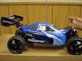 1/10 Electric Off-Road R/C Buggy Stock Model by Exceed RC