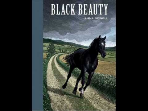 Themes Black Beauty Form 1 | adventures of black beauty theme tune youtube Themes Black Beauty Form 1 | adventures of black beauty theme tune youtube