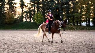 Reiten Oktober 2013