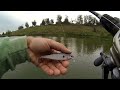 Обзор и тест Lucky Craft Pointer 100 SR