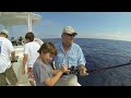 Tails From The Gulf