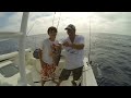 Tails From The Gulf