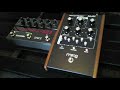 Moog MuRF MF-105 Moogerfooger & Eventide Space Reverb