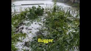 Hail storm. Mayfield, Canterbury, New Zealand 16/12/13