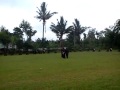 gambar video sh terate psht sambung album artwork