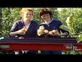 Travel to The Netherlands