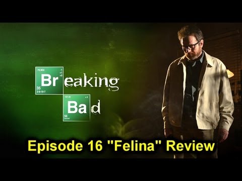 Breaking Bad Season 5 Episode 16 "Felina" Series Finale Review