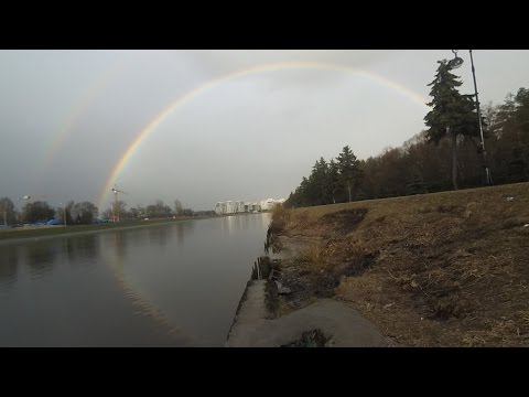 Прикормка для донки Прикормка для донки