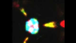 Electronic Music | Videos | MP3 | Streaming Music