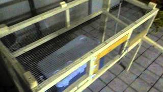 Video Homemade Mobile Quail Cage Pen 4'x2'x13" With Egg Catcher