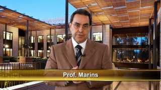 Dicas Professor Marins - Como caem as empresas que tiveram sucesso?