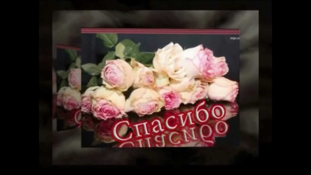 Что купить для дома в подарок видео