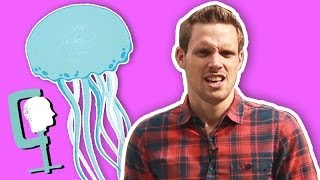 Why do jellyfish sting? | Greg Foot | Head Squeeze