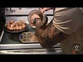 Mini Protein Carrot Cake Muffins Recipe (Low fat + High Protein)!