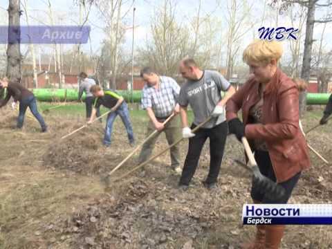 Бердские коммунальщики отчитались о прошедшем субботнике