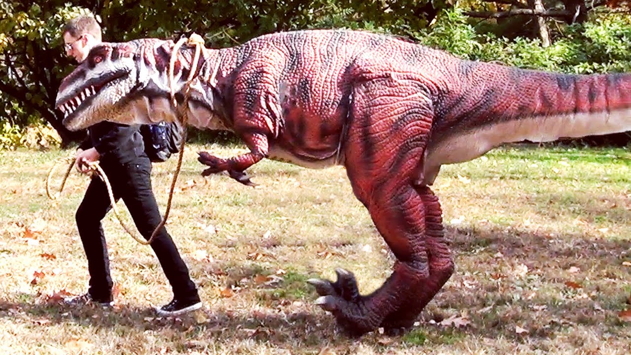 Walking My Pet Dinosaur YouTube