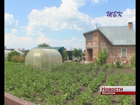 В Искитиме орудуют дачные воры
