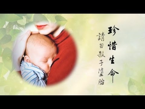 Quý Tiếc Mạng Sống, Xin Đừng Phá Thai Giết Trẻ (Tập 1) (Rất Hay)