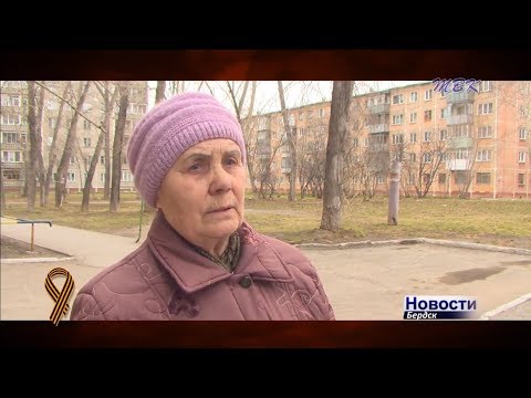 Вклад моей семьи в общую Победу