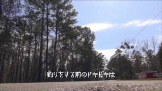 O.S.Pコマーシャル〜2013アメリカ編〜