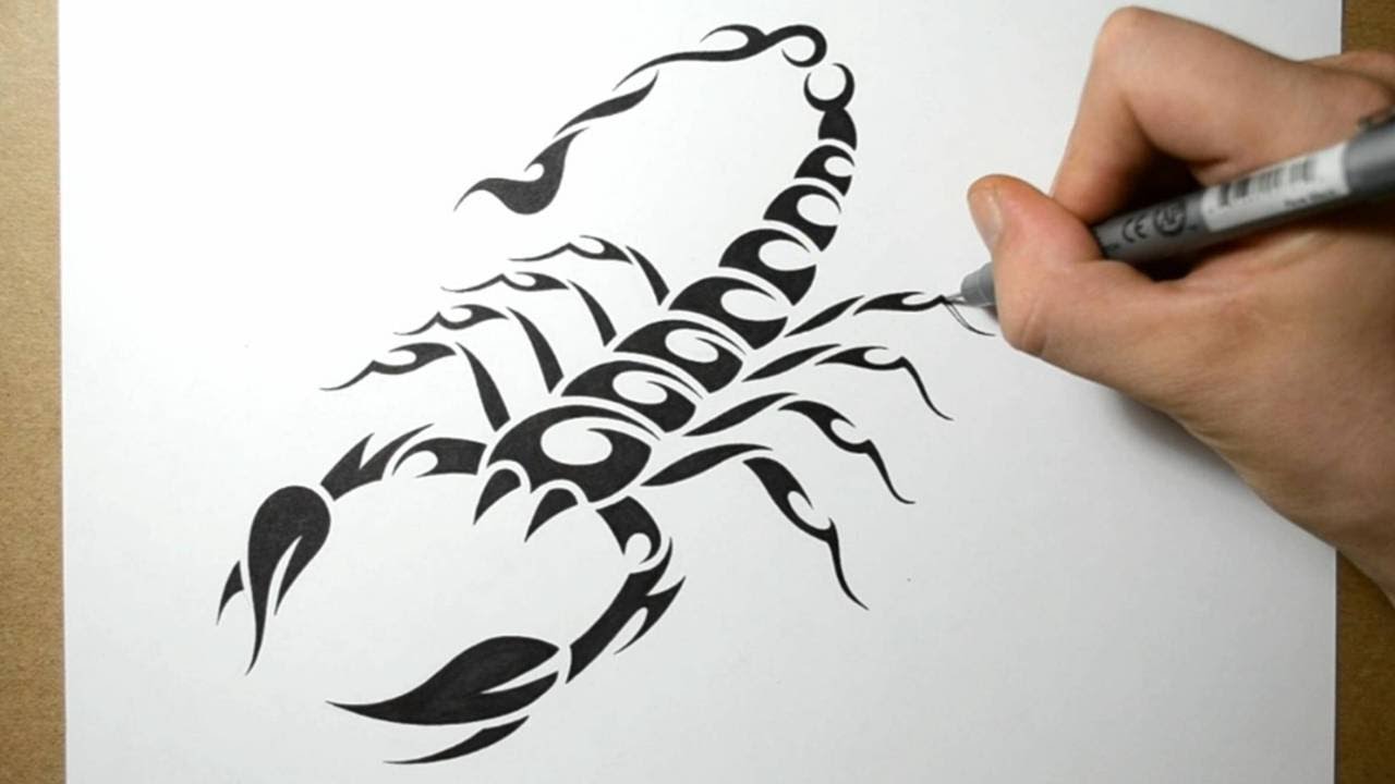 How to Draw a Scorpion - Tribal Tattoo Design Style - YouTube