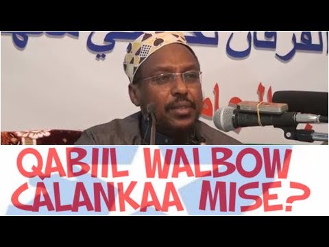 Download Sheekh Mustafa oo runta Usheegay soomaalida, cidna yaan la edeyn isma rabtaane |
