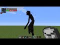 Mutant Enderman Vs Iron Golem - Minecraft Mob Battles - Mutant Creatures Mod