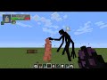 Mutant Enderman Vs Iron Golem - Minecraft Mob Battles - Mutant Creatures Mod