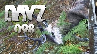 DAYZ #098 - Currywurst-Song und bescheuerte Rehe [HD+] | Let's Play DayZ