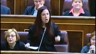 Diputada RIDICULIZA a Wert por las Erasmus:"tiene un problema:de comprensión lectora o de mentirnos"