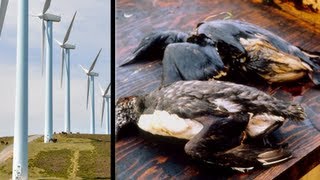 Oil Billionaire: Wind Turbines Are Ugly