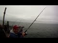 SEA LIONS taking FISHERMAN'S FISH + Catching a BARRACUDA & SALMON on the Pacifica Pier GoPro HERO HD