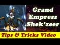 Grand Empress Shekzeer 10 man normal - strategy guide - tips and tricks Tank PoV with Narration