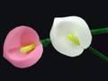 How To Make Easy Foam Flowers Craft: Calla Lily - Youtube