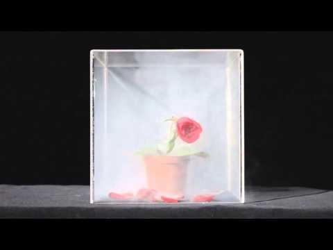 2013「無菸生活」設計大賞銅獎主題:花