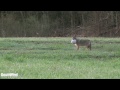 DWO Extra: Red Card (DownWind Outdoors)